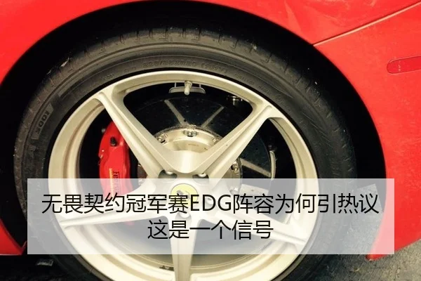 无畏契约冠军赛EDG阵容为何引热议 这是一个信号